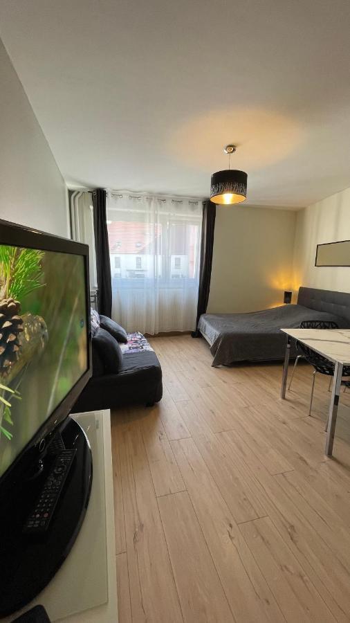 Grand Studio Proche Du Centre Ville Strasbourg Eksteriør billede